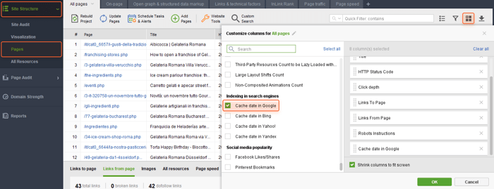 enable the Cache date in Google column